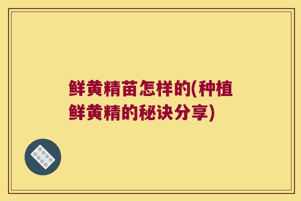 鲜黄精苗怎样的(种植鲜黄精的秘诀分享) 鲜黄精苗怎样的(种植鲜黄精的秘诀分享)