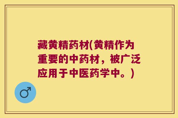 藏黄精药材(黄精作为重要的材，被广泛应用于中医药学中。)