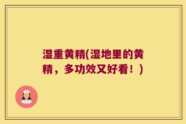 湿重黄精(湿地里的黄精，多功效又好看！)