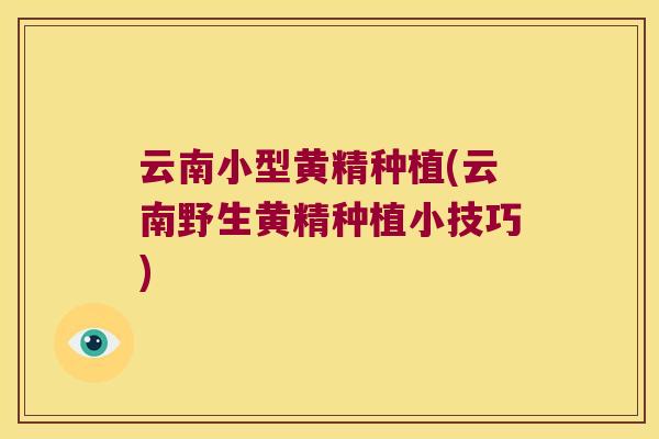 云南小型黄精种植(云南野生黄精种植小技巧) 云南小型黄精种植(云南野生黄精种植小技巧)