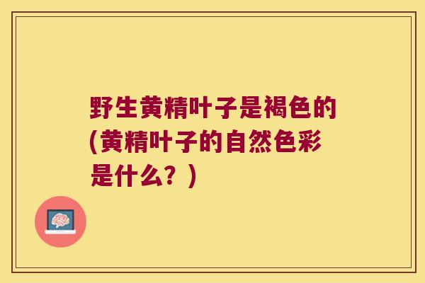 野生黄精叶子是褐色的(黄精叶子的自然色彩是什么?) 野生黄精叶子是褐色的(黄精叶子的自然色彩是什么?)