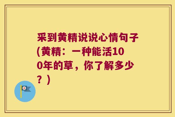 采到黄精说说心情句子(黄精:一种能活100年的草,你了解多少?) 采到黄精说说心情句子(黄精:一种能活100年的草,你了解多少?)