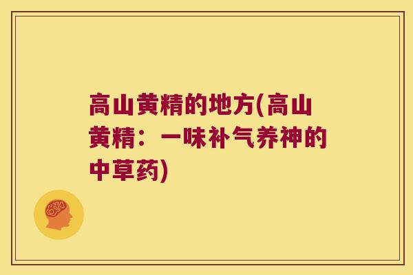 高山黄精的地方(高山黄精：一味养神的中草药)