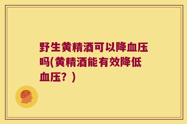 野生黄精酒可以降吗(黄精酒能有效降低？)