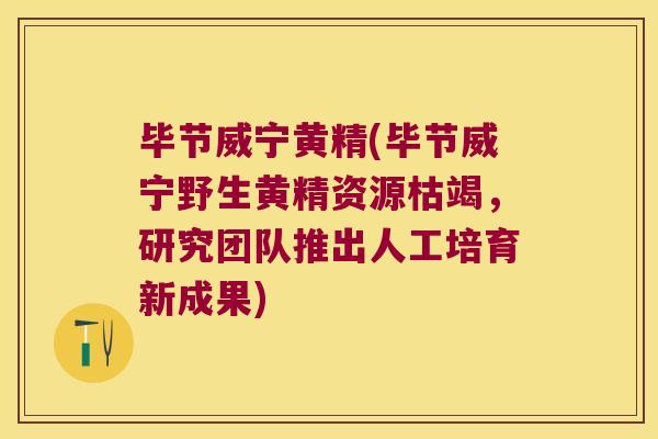 毕节威宁黄精(毕节威宁野生黄精资源枯竭，研究团队推出人工培育新成果)