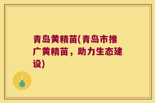 青岛黄精苗(青岛市推广黄精苗,助力生态建设) 青岛黄精苗(青岛市推广黄精苗,助力生态建设)