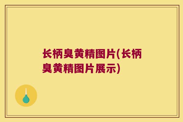 长柄臭黄精图片(长柄臭黄精图片展示)