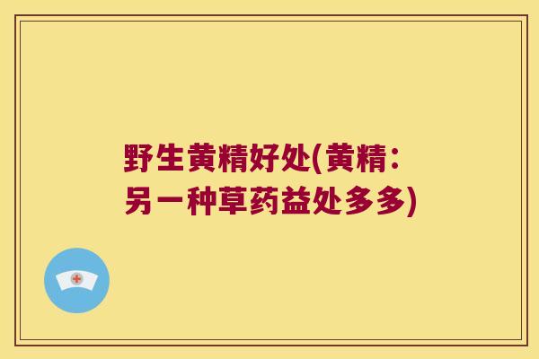 野生黄精好处(黄精：另一种草药益处多多)