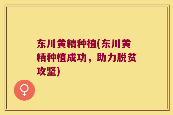 东川黄精种植(东川黄精种植成功，助力脱贫攻坚)