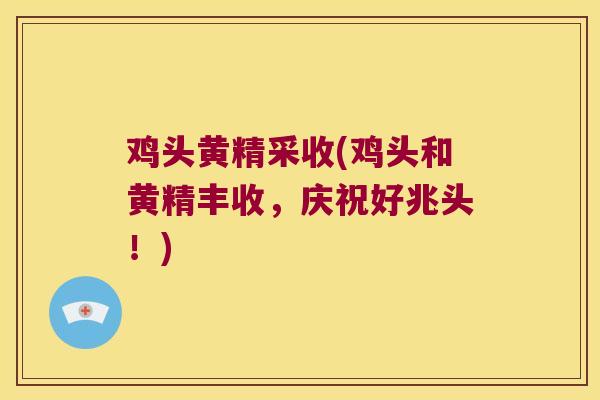 鸡头黄精采收(鸡头和黄精丰收,庆祝好兆头!) 鸡头黄精采收(鸡头和黄精丰收,庆祝好兆头!)