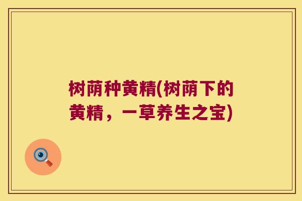 树荫种黄精(树荫下的黄精,一草养生之宝) 树荫种黄精(树荫下的黄精,一草养生之宝)