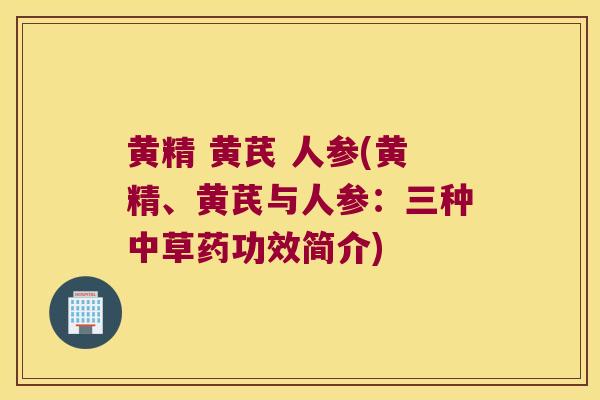 黄精 黄芪 人参(黄精、黄芪与人参:三种中草药功效简介) 黄精 黄芪 人参(黄精、黄芪与人参:三种中草药功效简介)