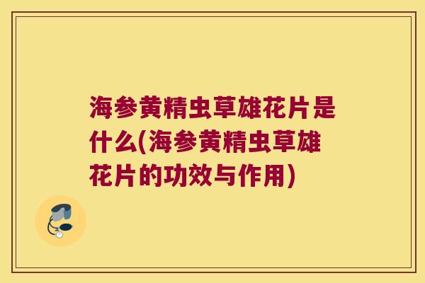 海参黄精虫草雄花片是什么(海参黄精虫草雄花片的功效与作用) 海参黄精虫草雄花片是什么(海参黄精虫草雄花片的功效与作用)