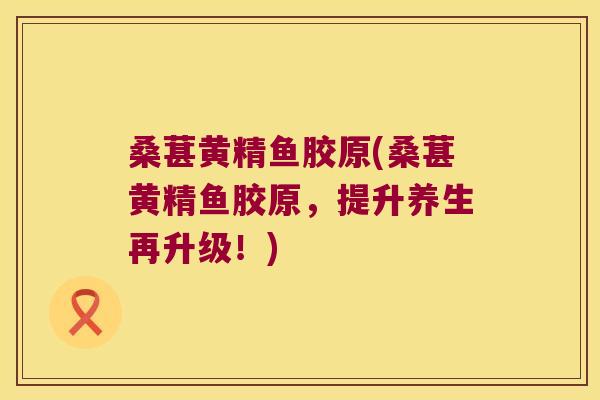 桑葚黄精鱼胶原(桑葚黄精鱼胶原,提升养生再升级!) 桑葚黄精鱼胶原(桑葚黄精鱼胶原,提升养生再升级!)