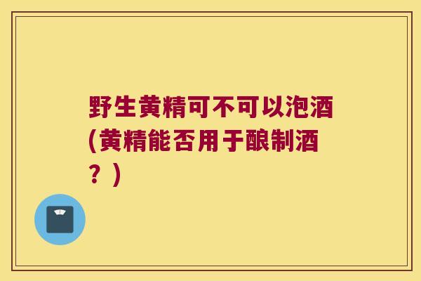 野生黄精可不可以泡酒(黄精能否用于酿制酒?) 野生黄精可不可以泡酒(黄精能否用于酿制酒?)