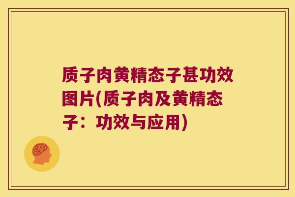 质子肉黄精态子甚功效图片(质子肉及黄精态子:功效与应用) 质子肉黄精态子甚功效图片(质子肉及黄精态子:功效与应用)