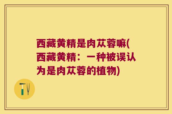 西藏黄精是肉苁蓉嘛(西藏黄精：一种被误认为是肉苁蓉的植物)