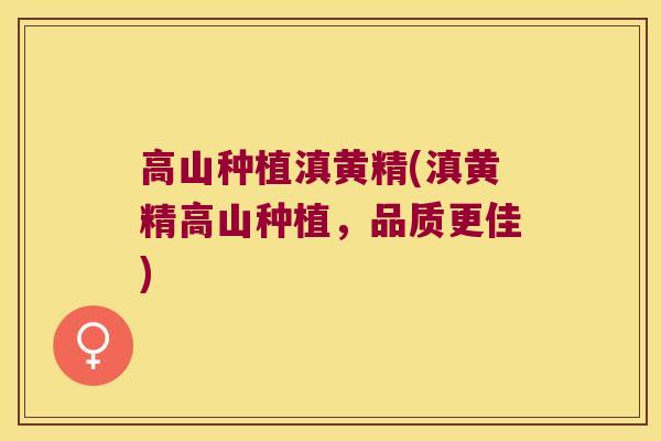 高山种植滇黄精(滇黄精高山种植，品质更佳)