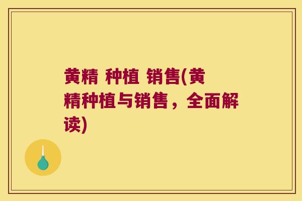 黄精 种植 销售(黄精种植与销售，全面解读)