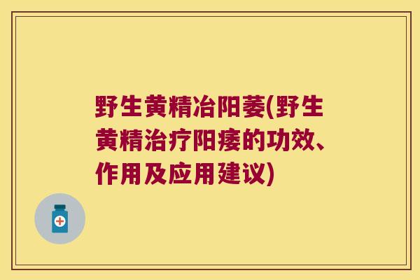 野生黄精冶阳萎(野生黄精的功效、作用及应用建议) 野生黄精冶阳萎(野生黄精的功效、作用及应用建议)