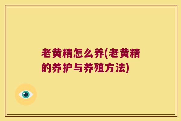 老黄精怎么养(老黄精的养护与养殖方法)