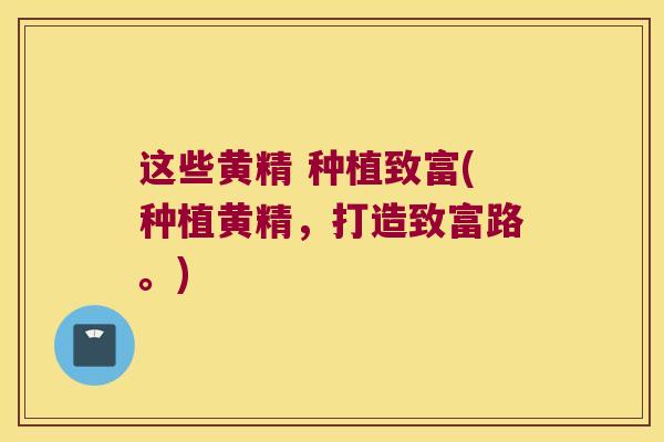 这些黄精 种植致富(种植黄精，打造致富路。)