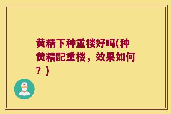 黄精下种重楼好吗(种黄精配重楼,效果如何?) 黄精下种重楼好吗(种黄精配重楼,效果如何?)