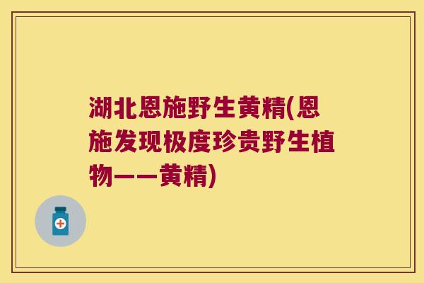 湖北恩施野生黄精(恩施发现极度珍贵野生植物——黄精)