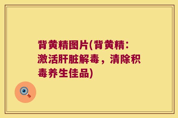 背黄精图片(背黄精:激活,清除积毒养生佳品) 背黄精图片(背黄精:激活,清除积毒养生佳品)