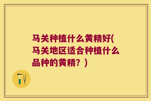 马关种植什么黄精好(马关地区适合种植什么品种的黄精?) 马关种植什么黄精好(马关地区适合种植什么品种的黄精?)