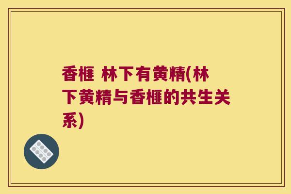 香榧 林下有黄精(林下黄精与香榧的共生关系)