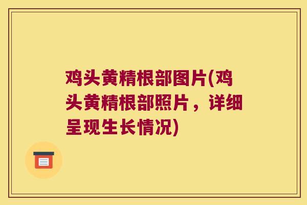 鸡头黄精根部图片(鸡头黄精根部照片,详细呈现生长情况) 鸡头黄精根部图片(鸡头黄精根部照片,详细呈现生长情况)