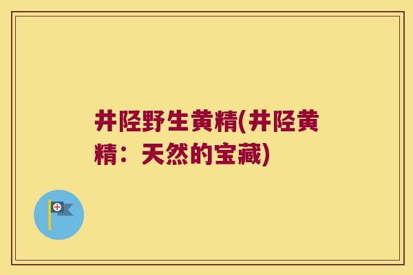 井陉野生黄精(井陉黄精:天然的宝藏) 井陉野生黄精(井陉黄精:天然的宝藏)