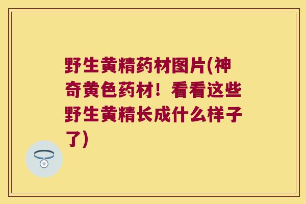野生黄精药材图片(神奇黄色药材!看看这些野生黄精长成什么样子了) 野生黄精药材图片(神奇黄色药材!看看这些野生黄精长成什么样子了)