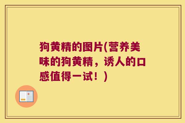 狗黄精的图片(营养美味的狗黄精，诱人的口感值得一试！)
