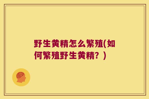 野生黄精怎么繁殖(如何繁殖野生黄精?) 野生黄精怎么繁殖(如何繁殖野生黄精?)