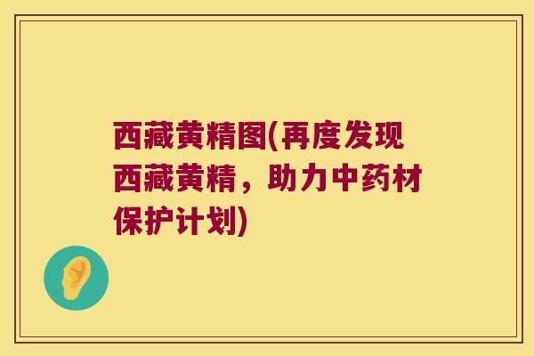 西藏黄精图(再度发现西藏黄精,助力材保护计划) 西藏黄精图(再度发现西藏黄精,助力材保护计划)