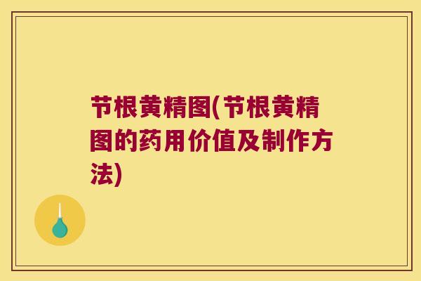 节根黄精图(节根黄精图的药用价值及制作方法)