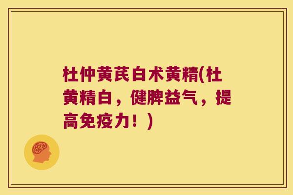 杜仲黄芪白术黄精(杜黄精白，健脾益气，提高力！)