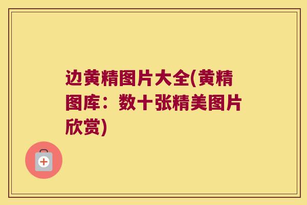 边黄精图片大全(黄精图库:数十张精美图片欣赏) 边黄精图片大全(黄精图库:数十张精美图片欣赏)