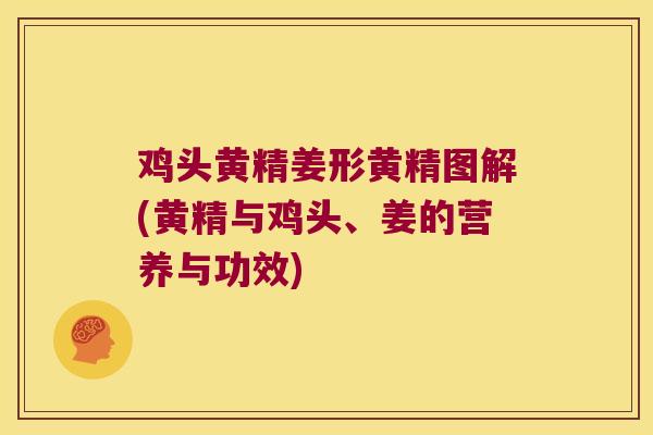 鸡头黄精姜形黄精图解(黄精与鸡头、姜的营养与功效)