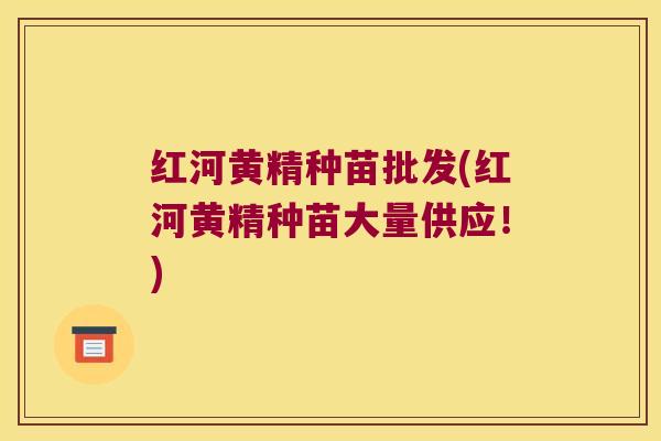 红河黄精种苗批发(红河黄精种苗大量供应！)