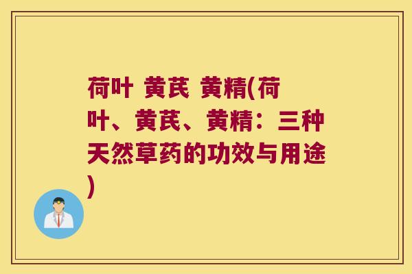 荷叶 黄芪 黄精(荷叶、黄芪、黄精:三种天然草药的功效与用途) 荷叶 黄芪 黄精(荷叶、黄芪、黄精:三种天然草药的功效与用途)