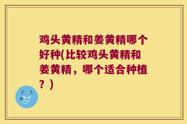 鸡头黄精和姜黄精哪个好种(比较鸡头黄精和姜黄精，哪个适合种植？)