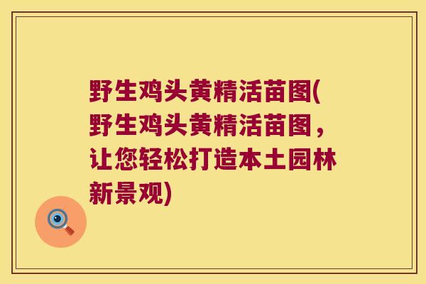 野生鸡头黄精活苗图(野生鸡头黄精活苗图,让您轻松打造本土园林新景观) 野生鸡头黄精活苗图(野生鸡头黄精活苗图,让您轻松打造本土园林新景观)