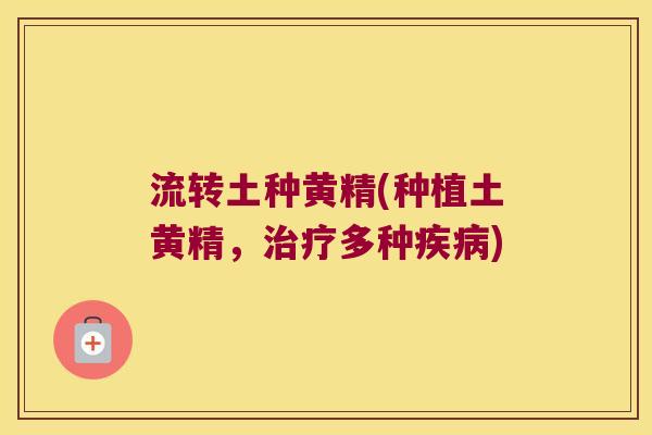 流转土种黄精(种植土黄精，多种)