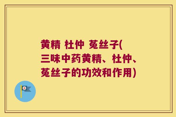 黄精 杜仲 菟丝子(三味黄精、杜仲、菟丝子的功效和作用) 黄精 杜仲 菟丝子(三味黄精、杜仲、菟丝子的功效和作用)