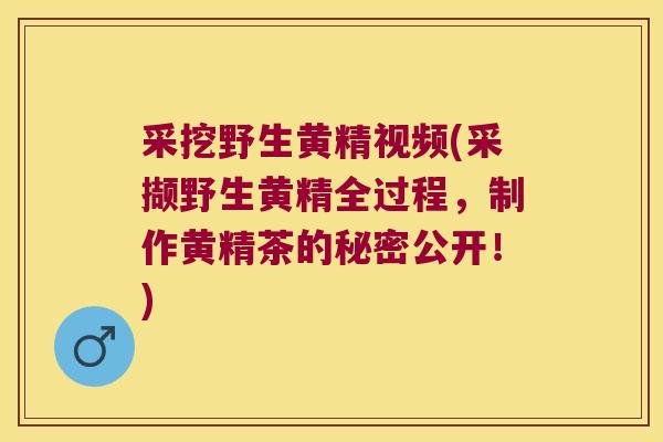 采挖野生黄精视频(采撷野生黄精全过程，制作黄精茶的秘密公开！)