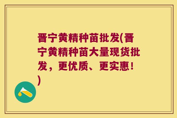 晋宁黄精种苗批发(晋宁黄精种苗大量现货批发，更优质、更实惠！)