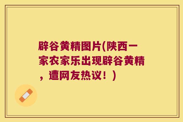 辟谷黄精图片(陕西一家农家乐出现辟谷黄精,遭网友热议!) 辟谷黄精图片(陕西一家农家乐出现辟谷黄精,遭网友热议!)